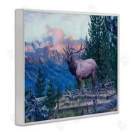 David Graham | Elk Forest Mountain Morning Animal