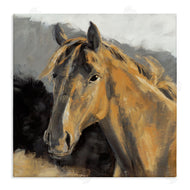 Liz Jardine | Southwestern Horse Portrait Brown