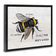 Stupell Studio | Charming Bee's Knees Anatomy