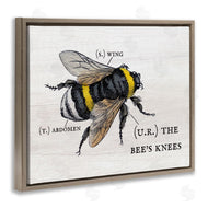 Stupell Studio | Charming Bee's Knees Anatomy