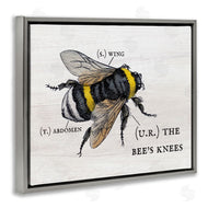 Stupell Studio | Charming Bee's Knees Anatomy