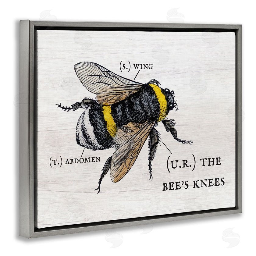 Stupell Studio | Charming Bee's Knees Anatomy
