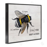 Stupell Studio | Charming Bee's Knees Anatomy