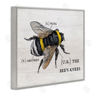Stupell Studio | Charming Bee's Knees Anatomy