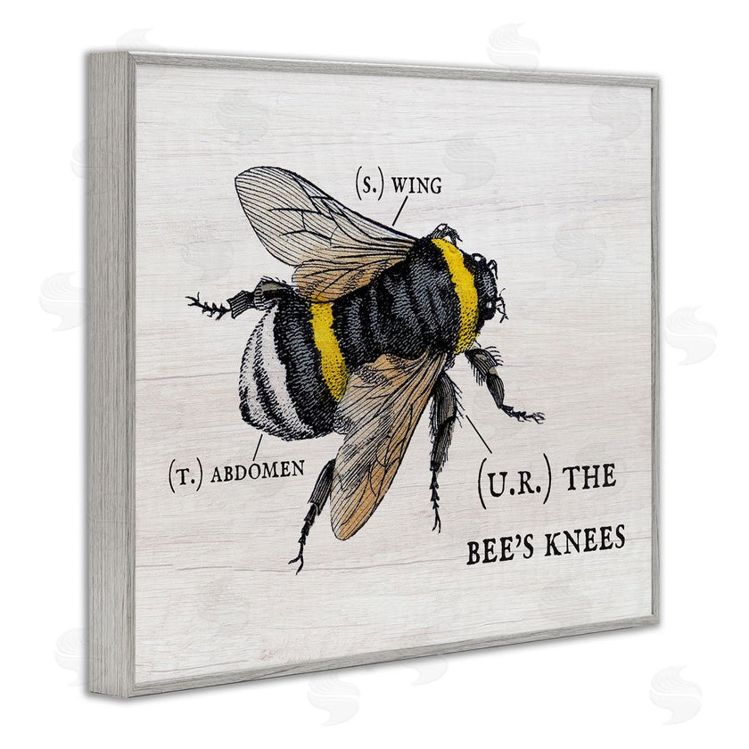 Stupell Studio | Charming Bee's Knees Anatomy