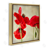 Dianne Poinski | Radiant Red Poppy Floral Details