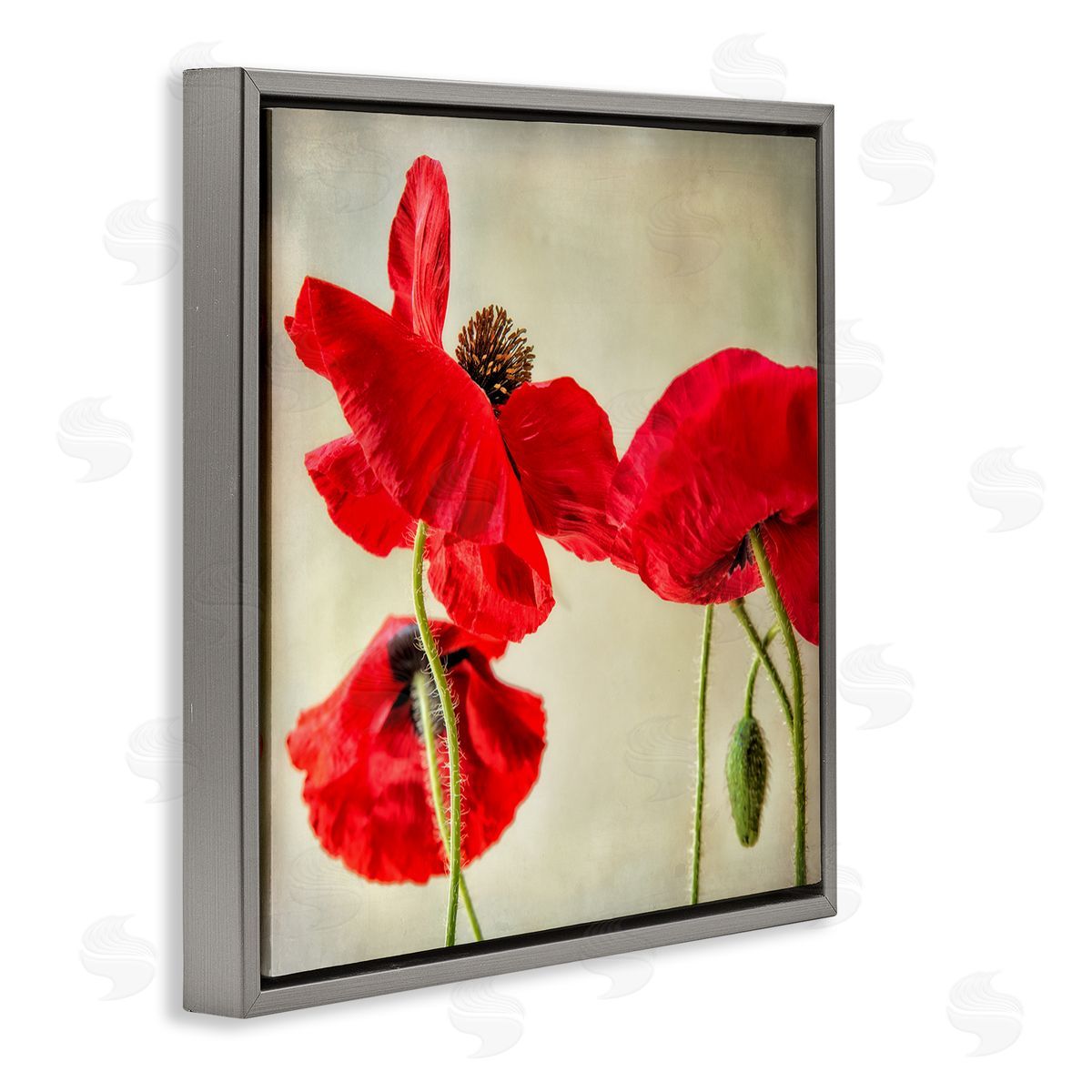 Dianne Poinski Radiant Red Poppy Floral Details Gray Floater Frame Canvas Art