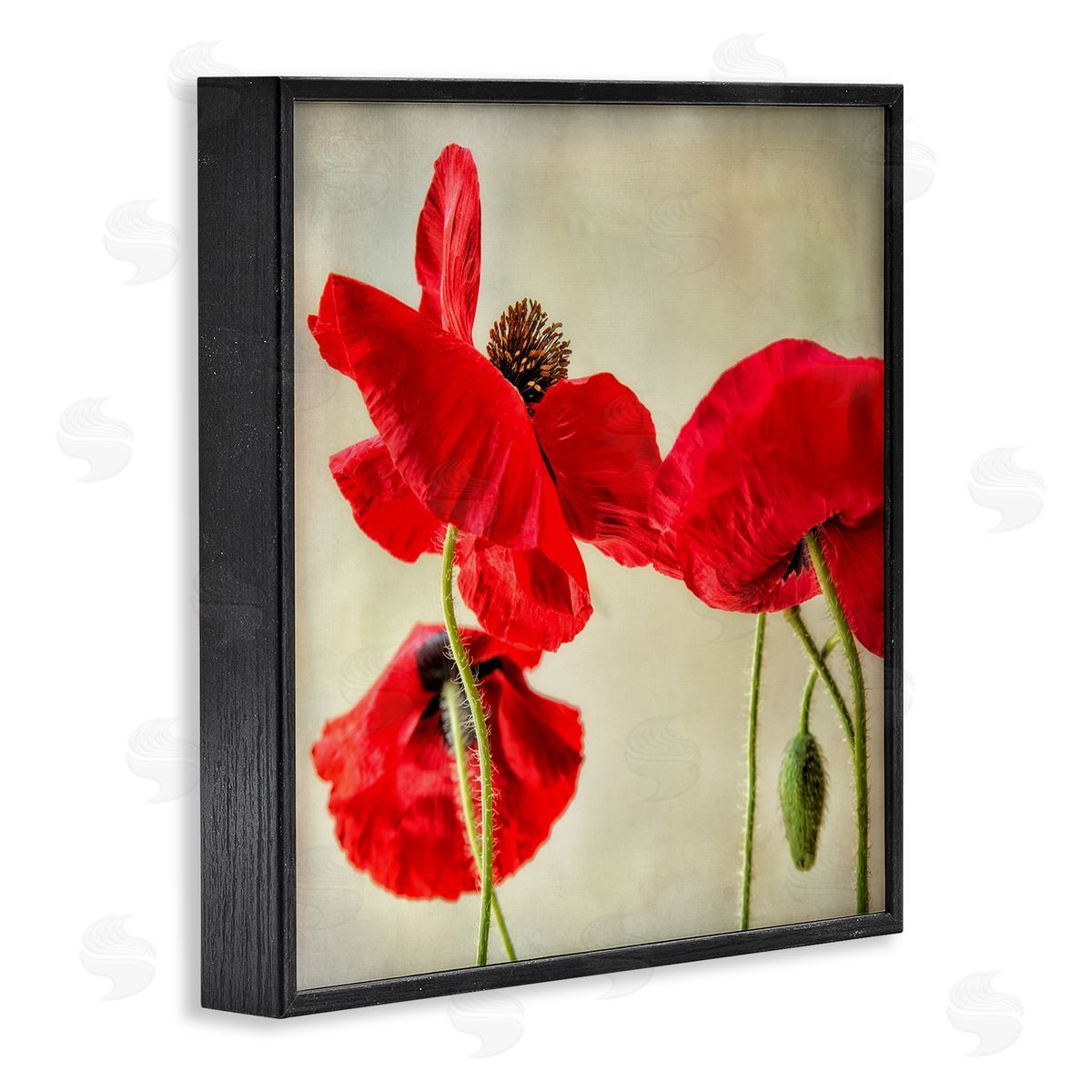 Dianne Poinski Radiant Red Poppy Floral Details Black Framed Giclee Wall Art