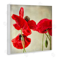 Dianne Poinski | Radiant Red Poppy Floral Details