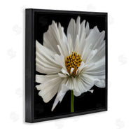 Dianne Poinski | Luminous White Daisy Floral Details