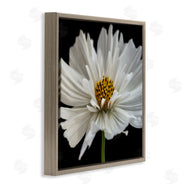 Dianne Poinski | Luminous White Daisy Floral Details