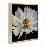Dianne Poinski | Luminous White Daisy Floral Details