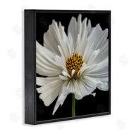 Dianne Poinski | Luminous White Daisy Floral Details