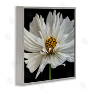 Dianne Poinski | Luminous White Daisy Floral Details
