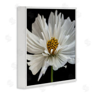 Dianne Poinski | Luminous White Daisy Floral Details
