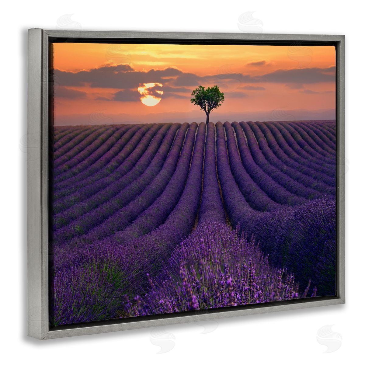 Lee Sie Lavender Flowers Warm Sunset Field Gray Floater Frame Canvas Art