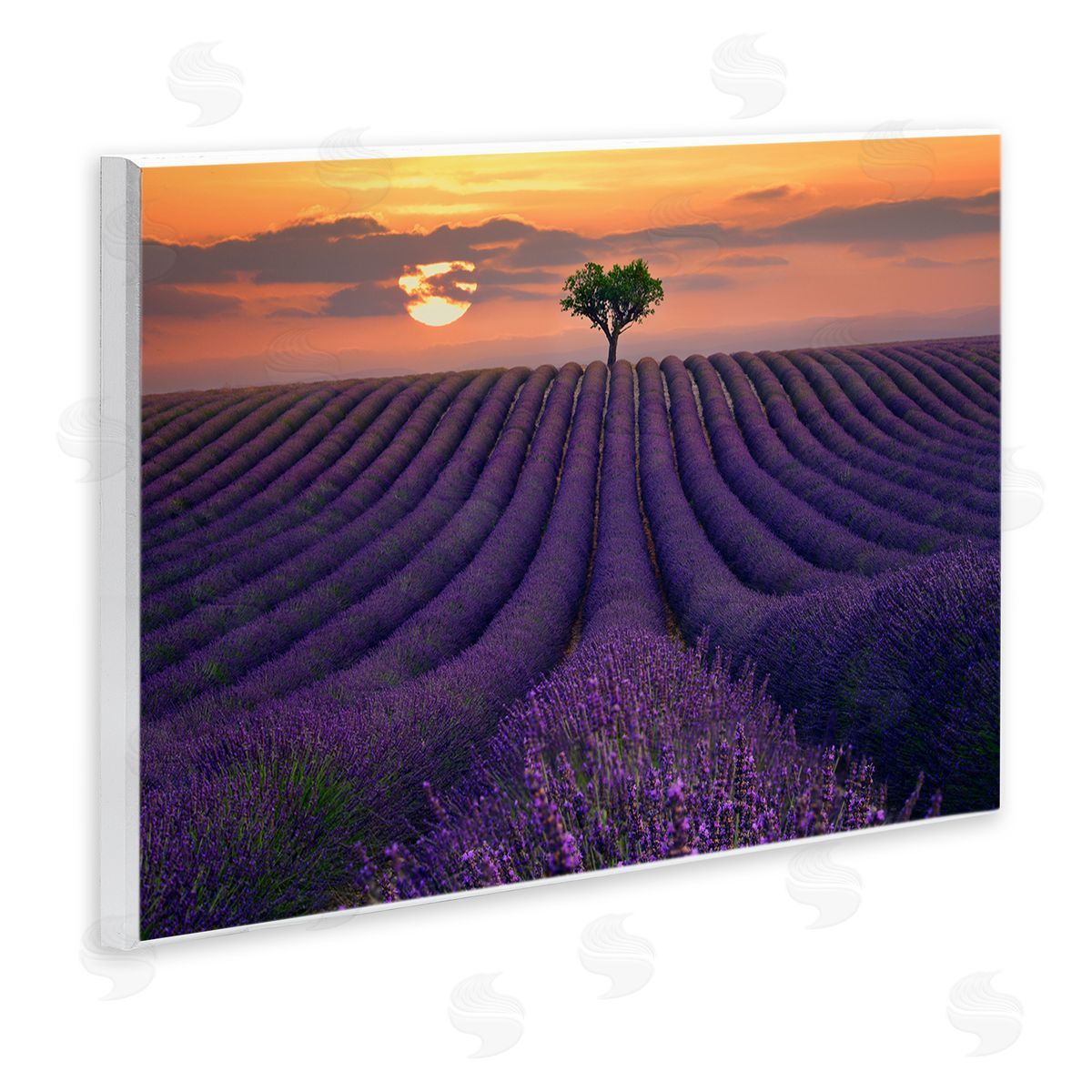 Lee Sie Lavender Flowers Warm Sunset Field Wall Plaque Art