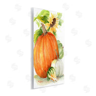 Melissa Hyatt | Pumpkin Sunflower and Gourd Harvest