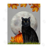 Sheri Hart | Black Cat Full Moon and Pumpkins
