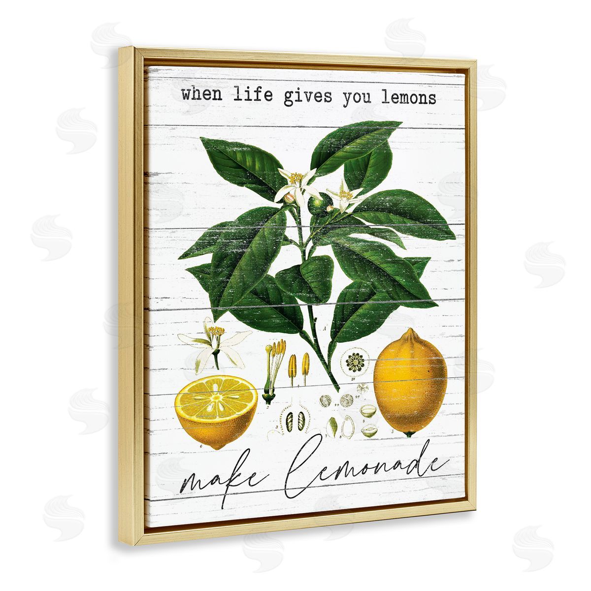 Lettered and Lined Life Gives Lemons Country Fruit Gold Floater Frame Canvas Art