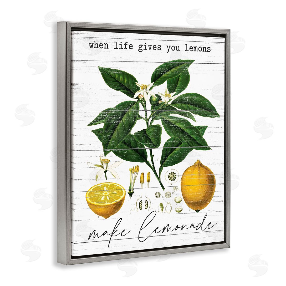 Lettered and Lined Life Gives Lemons Country Fruit Gray Floater Frame Canvas Art