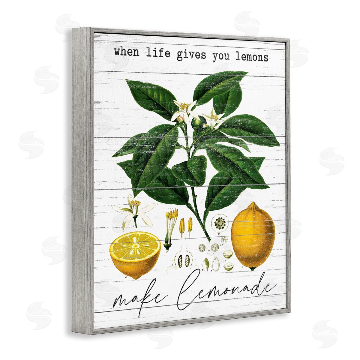 Lettered and Lined Life Gives Lemons Country Fruit Gray Framed Giclee Wall Art