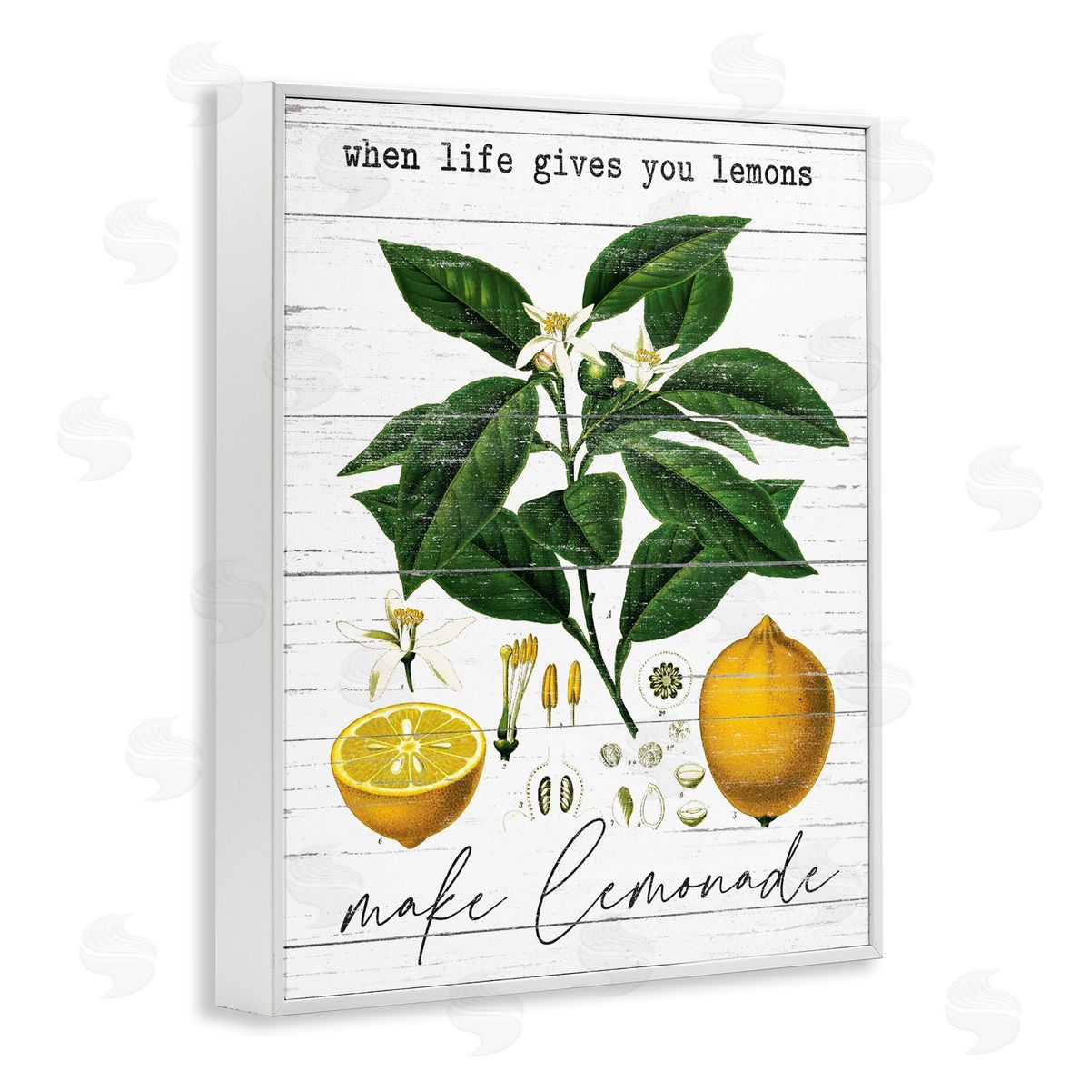 Lettered and Lined Life Gives Lemons Country Fruit White Framed Giclee Wall Art