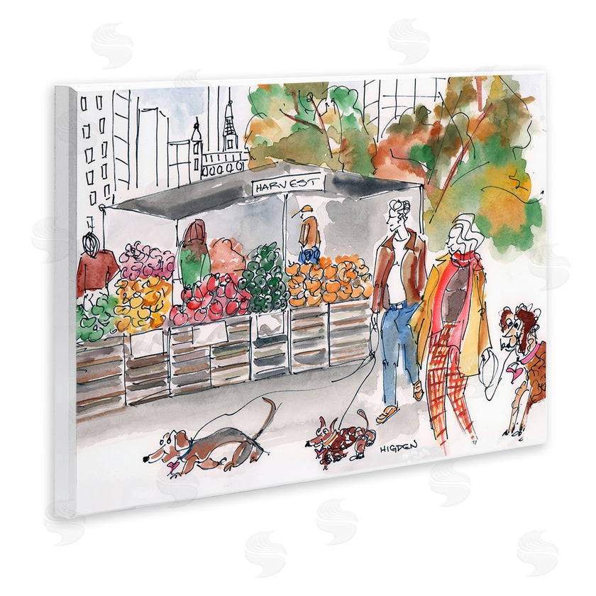 Mark Higden | Farmers Market City Dog Walkers