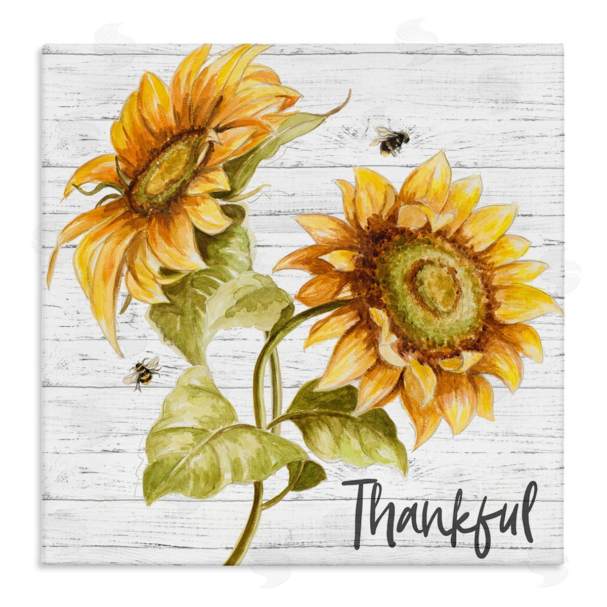 Thankful Country Sunflowers Canvas Wall Art, Home Decor by Patricia Pinto