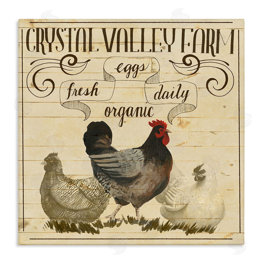 Grace Popp | Organic Farm Eggs Vintage