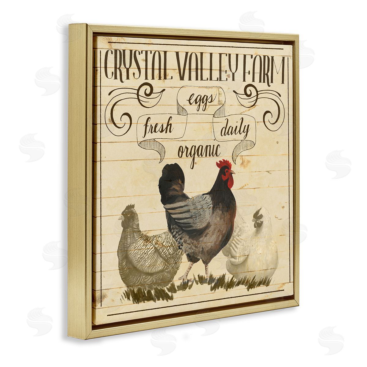 Grace Popp Organic Farm Eggs Vintage Gold Floater Frame Canvas Art