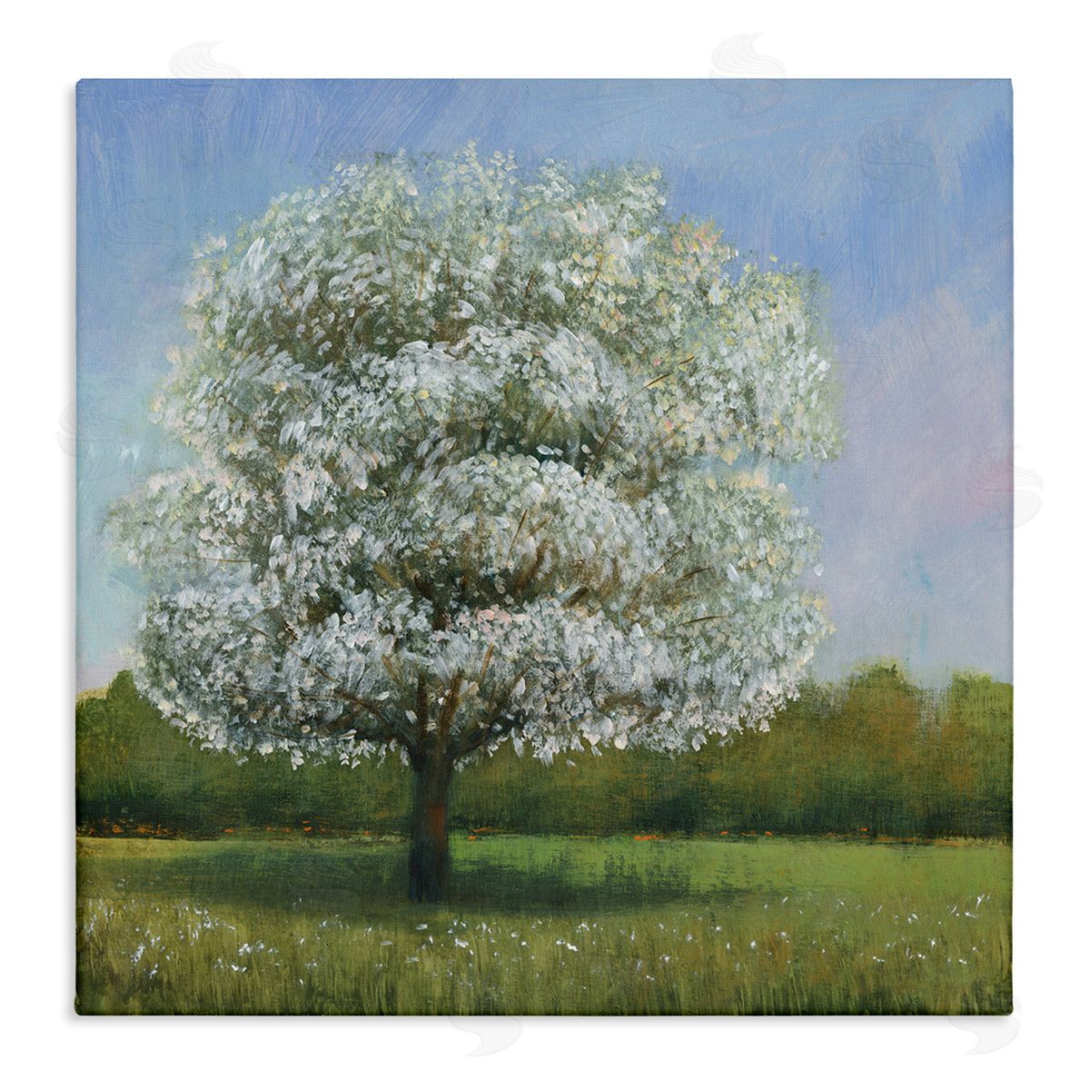 Tim O'Toole Spring Blossom Tree Floral Meadow Canvas Wall Art