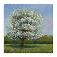Tim O'Toole | Spring Blossom Tree Floral Meadow