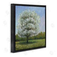 Tim O'Toole | Spring Blossom Tree Floral Meadow