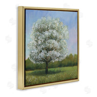 Tim O'Toole | Spring Blossom Tree Floral Meadow