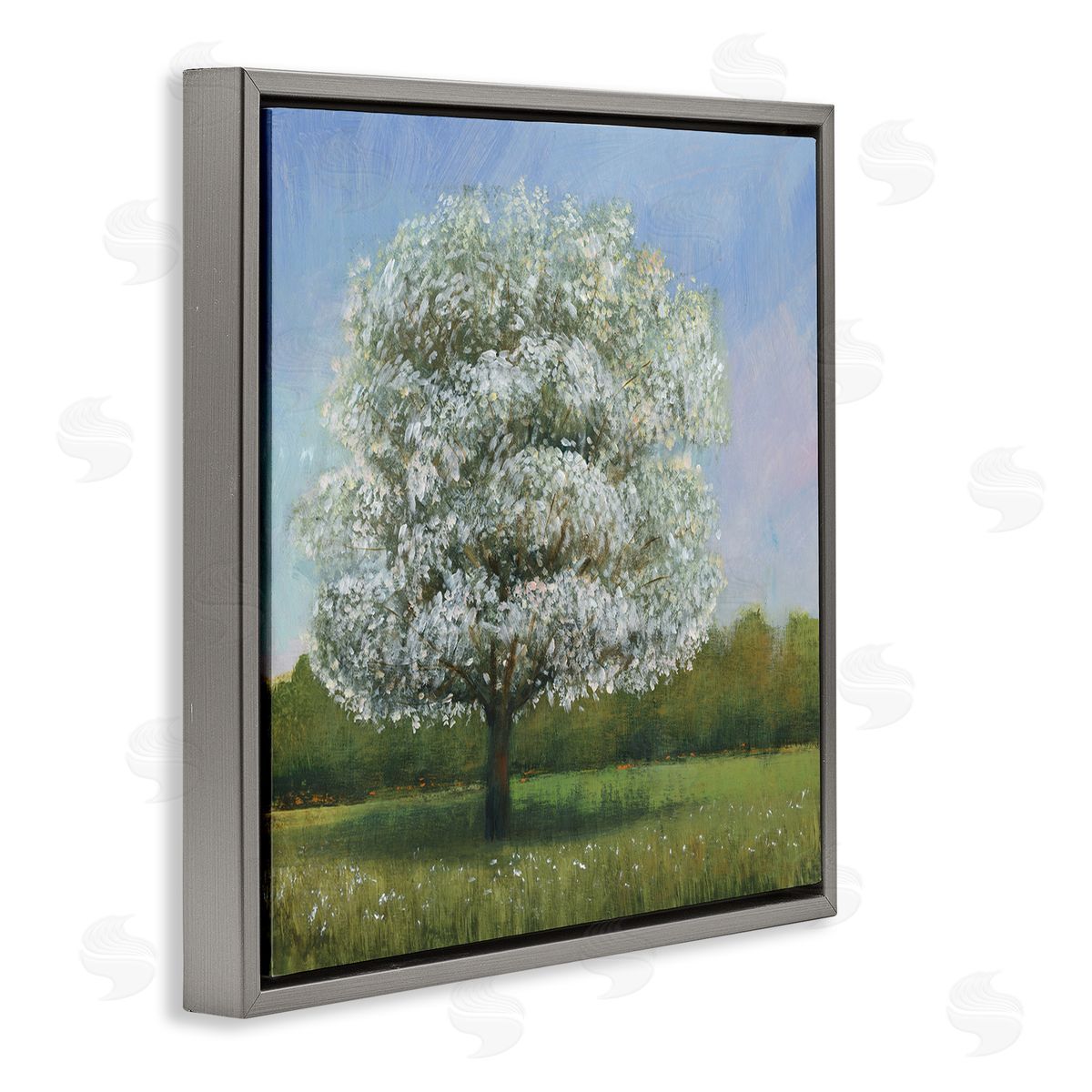 Tim O'Toole Spring Blossom Tree Floral Meadow Gray Floater Frame Canvas Art