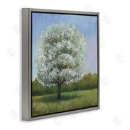 Tim O'Toole | Spring Blossom Tree Floral Meadow