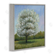 Tim O'Toole | Spring Blossom Tree Floral Meadow