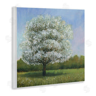 Tim O'Toole | Spring Blossom Tree Floral Meadow