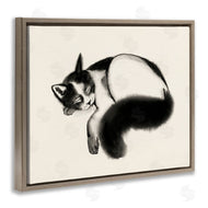 Grace Popp | Relaxed Pet Cat Bushy Tail