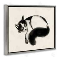 Grace Popp | Relaxed Pet Cat Bushy Tail