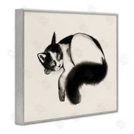 Grace Popp | Relaxed Pet Cat Bushy Tail