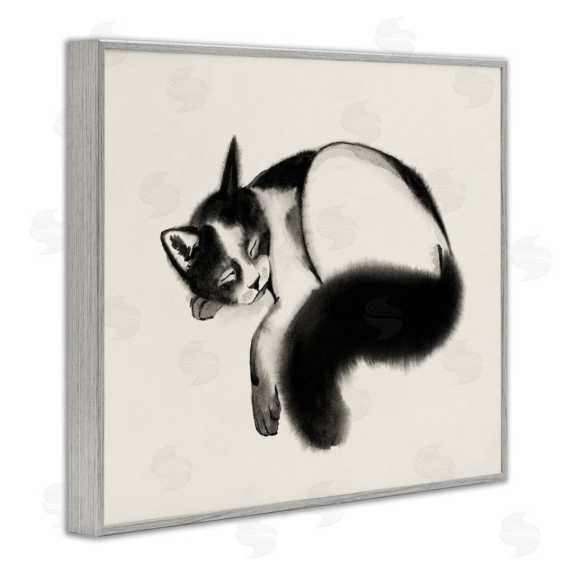 Grace Popp | Relaxed Pet Cat Bushy Tail
