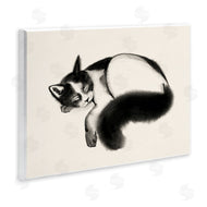 Grace Popp | Relaxed Pet Cat Bushy Tail