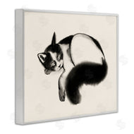 Grace Popp | Relaxed Pet Cat Bushy Tail