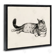 Grace Popp | Sleeping Striped Cat Relaxed Pet