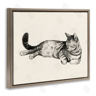Grace Popp | Sleeping Striped Cat Relaxed Pet