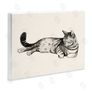 Grace Popp | Sleeping Striped Cat Relaxed Pet