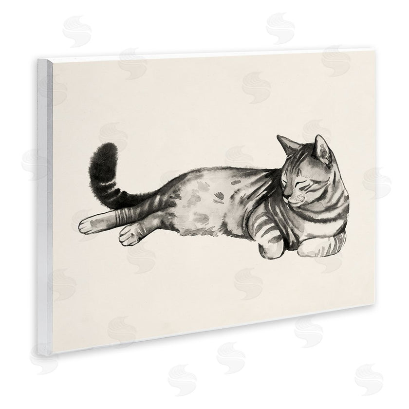 Grace Popp | Sleeping Striped Cat Relaxed Pet
