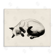 Grace Popp | Siamese Cat Nap Relaxed Pet
